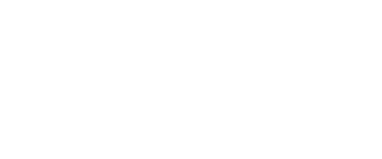 Logo white